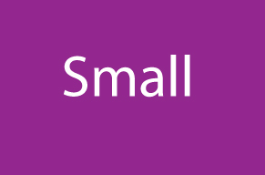 Projects_Small